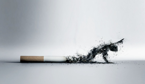 Palenie papierosow i brak erekcji